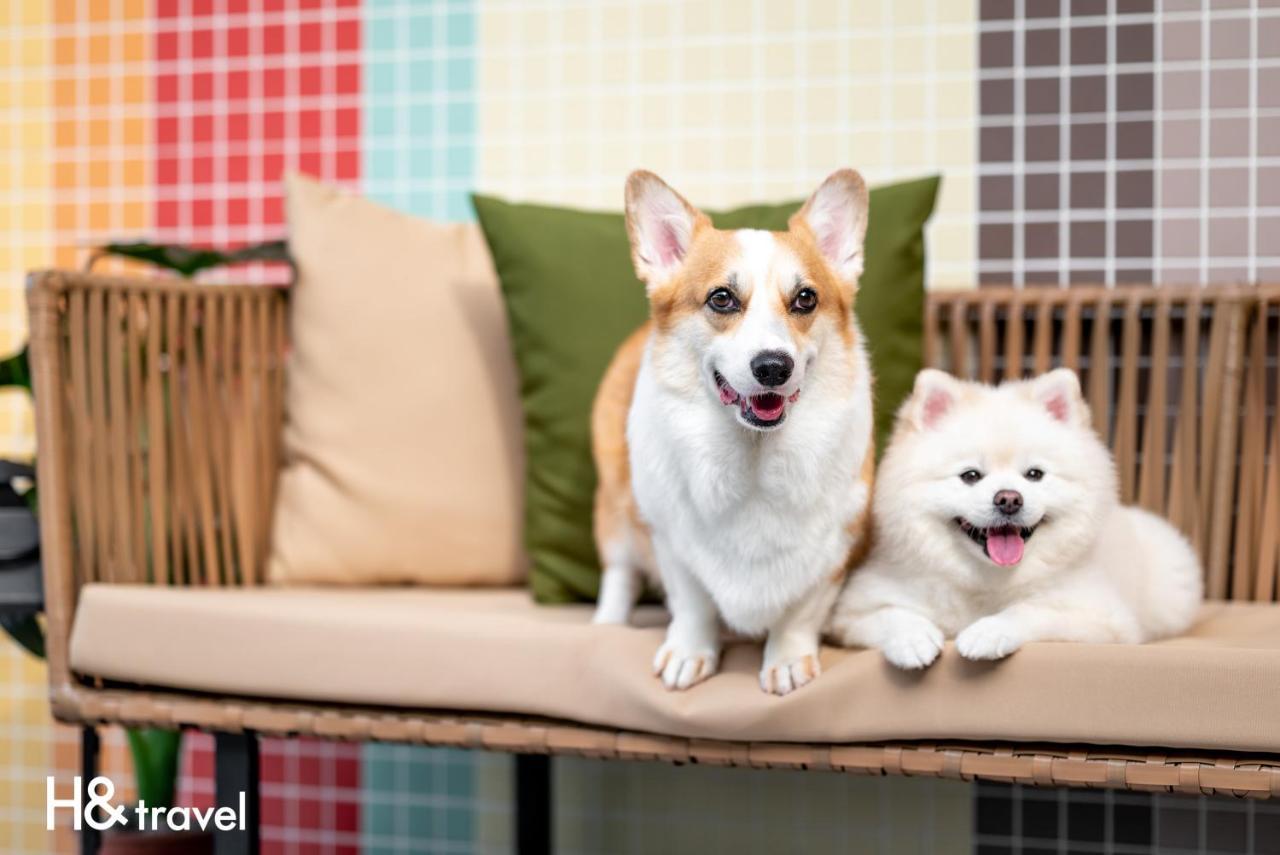 Taitung Rainbow Pet Friendly Maison Resort Exterior foto