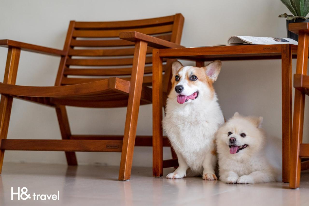 Taitung Rainbow Pet Friendly Maison Resort Exterior foto