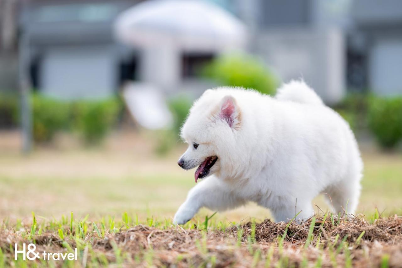 Taitung Rainbow Pet Friendly Maison Resort Exterior foto