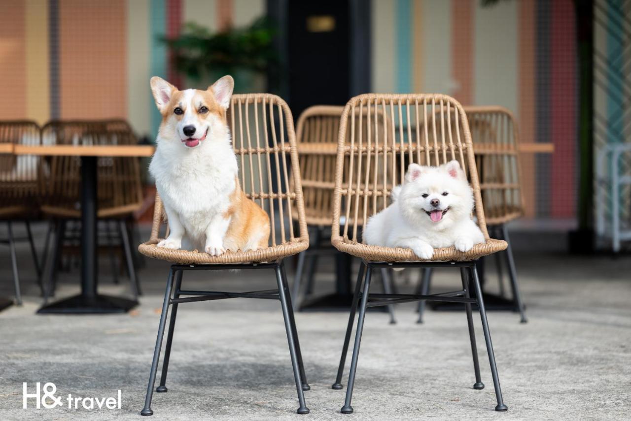 Taitung Rainbow Pet Friendly Maison Resort Exterior foto
