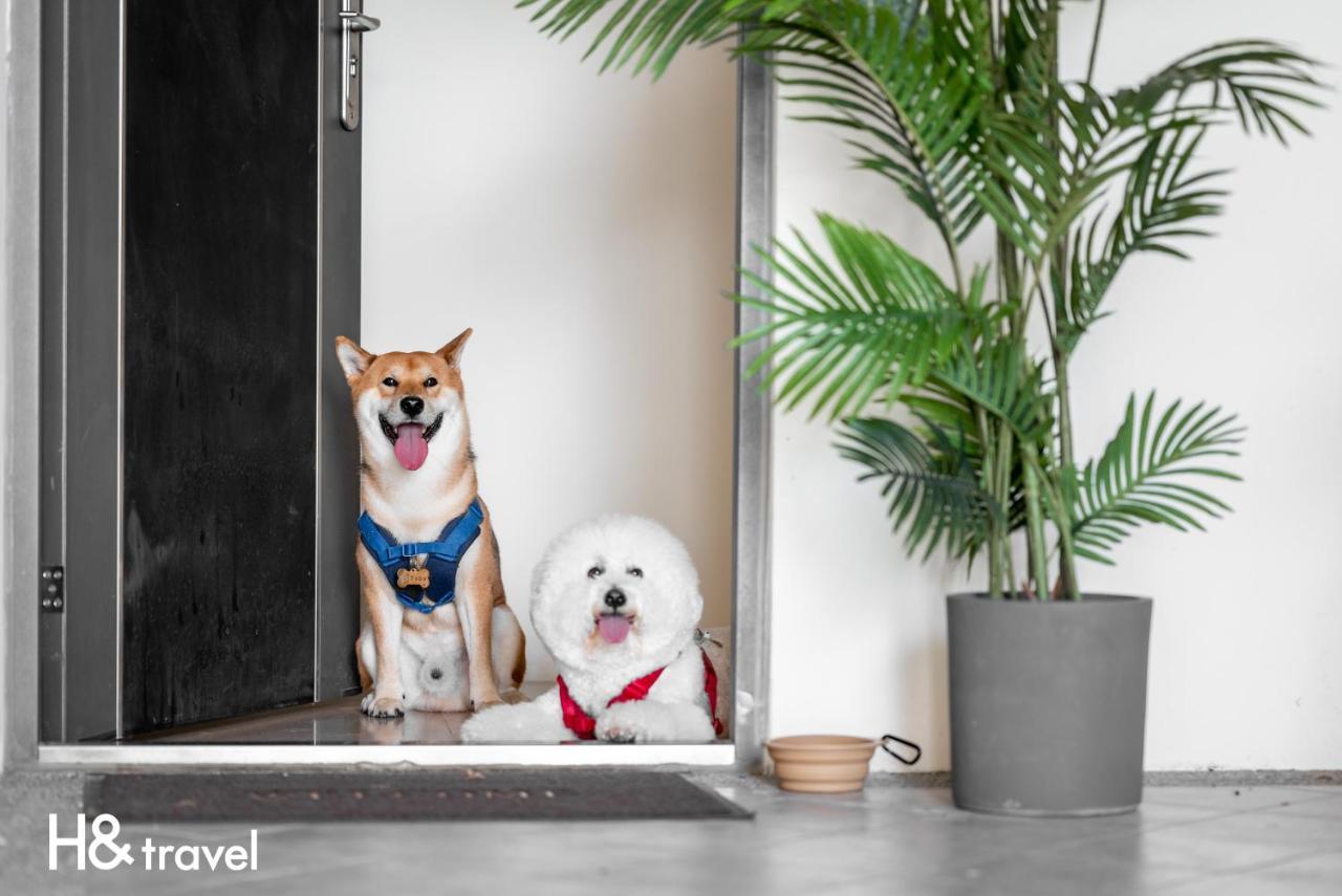 Taitung Rainbow Pet Friendly Maison Resort Exterior foto