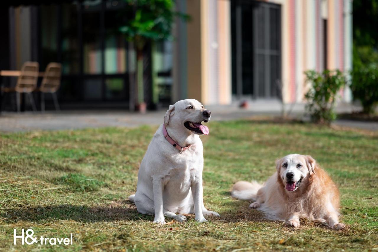 Taitung Rainbow Pet Friendly Maison Resort Exterior foto